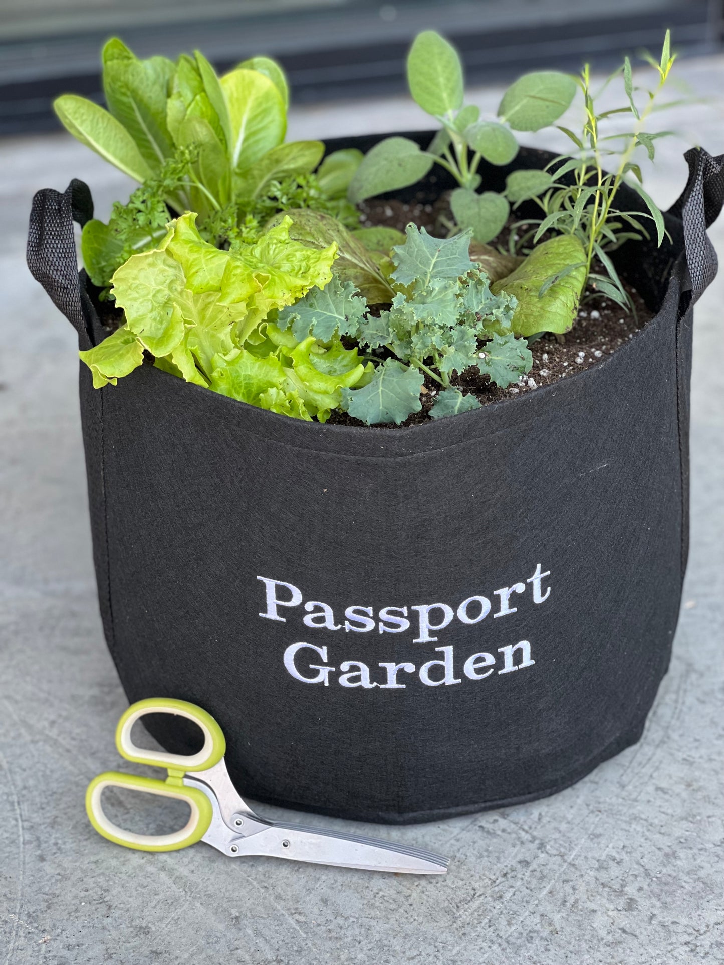 Passport Garden Gift Set with Pruning Shears