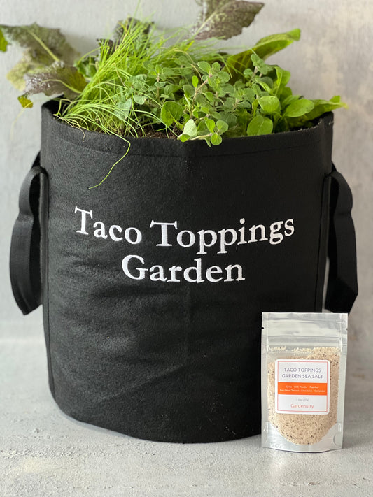 Taco Toppings Garden Gift Set with Taco Garden Sea Salt image