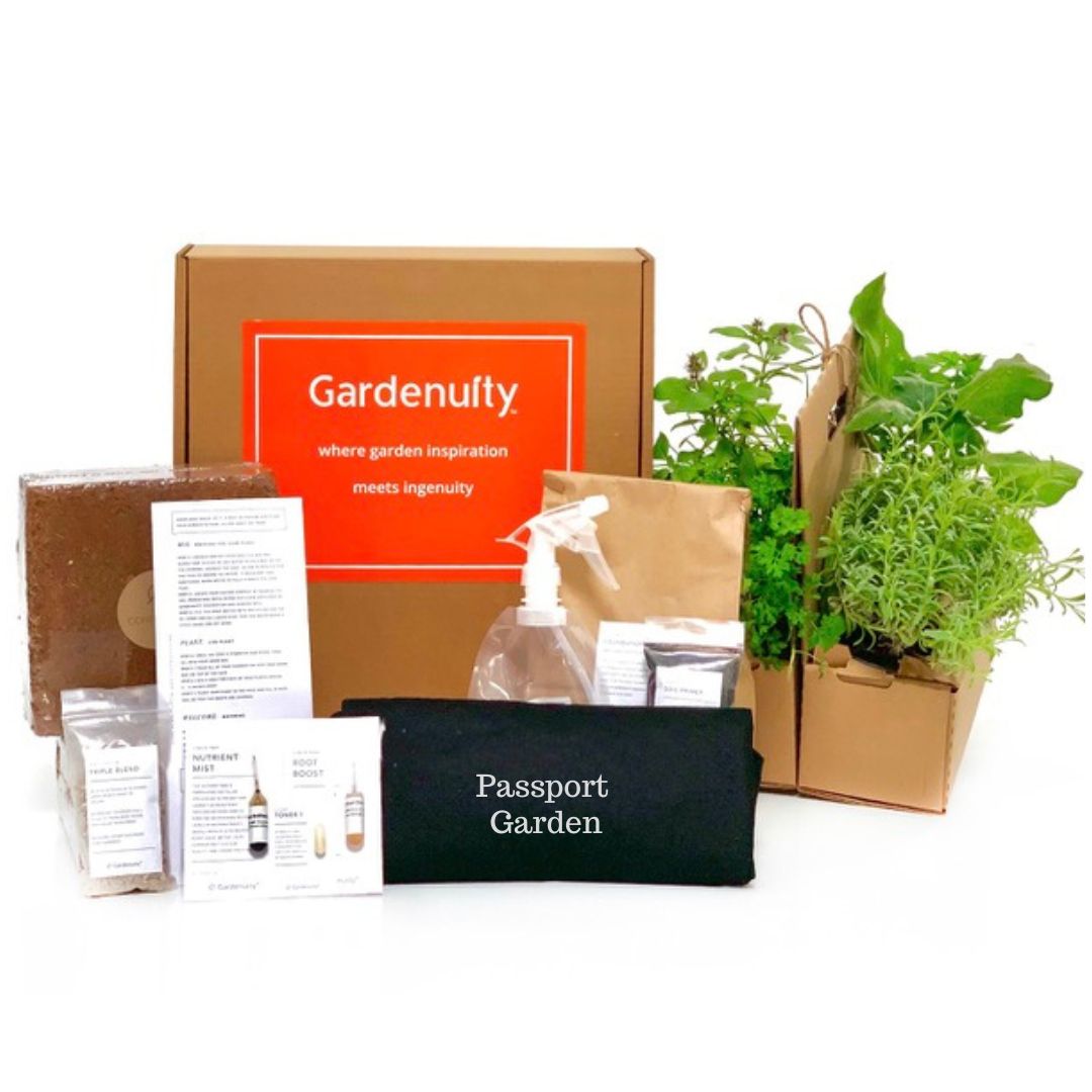 Passport Garden Kit with leafy greens + herbs