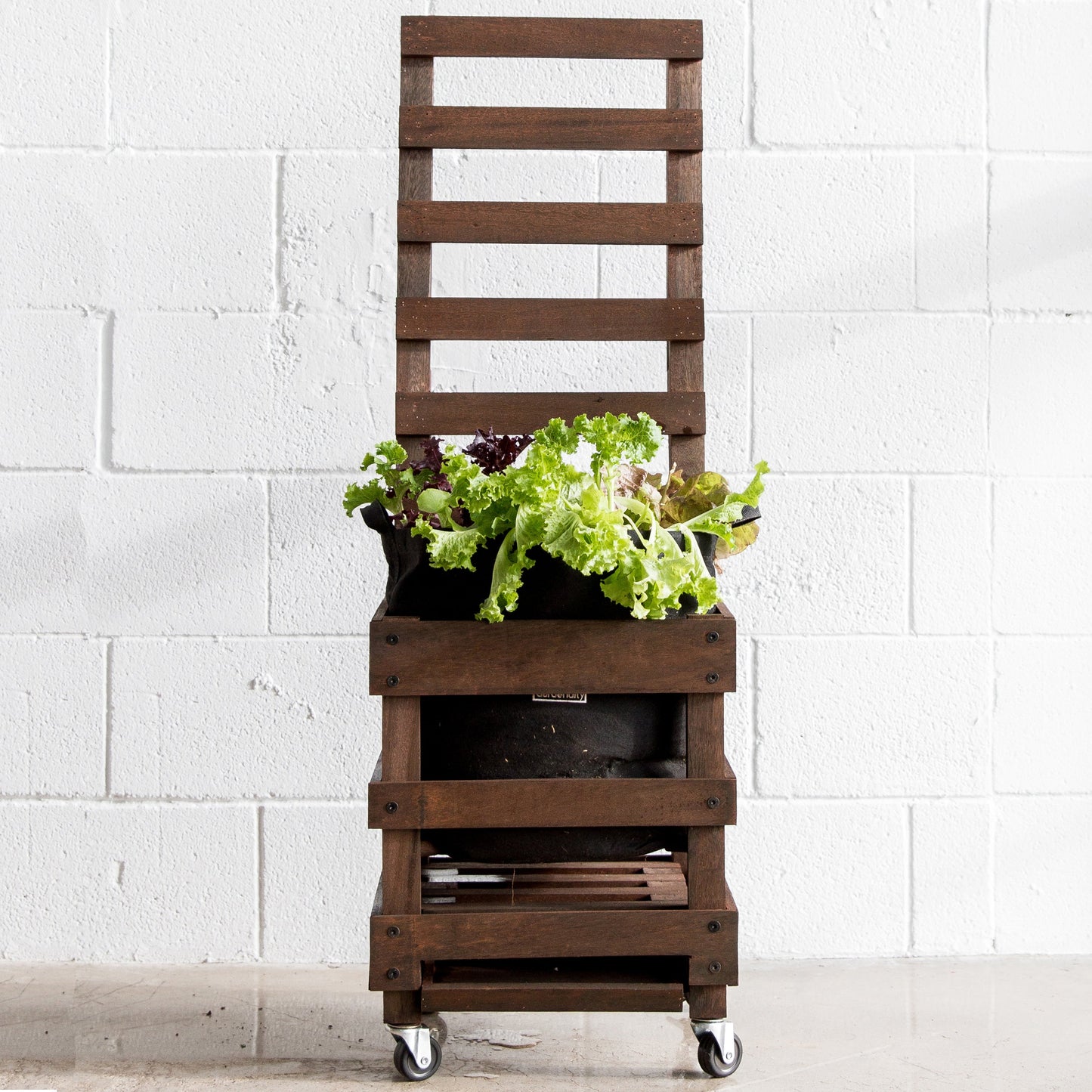 garden caddy and trellis