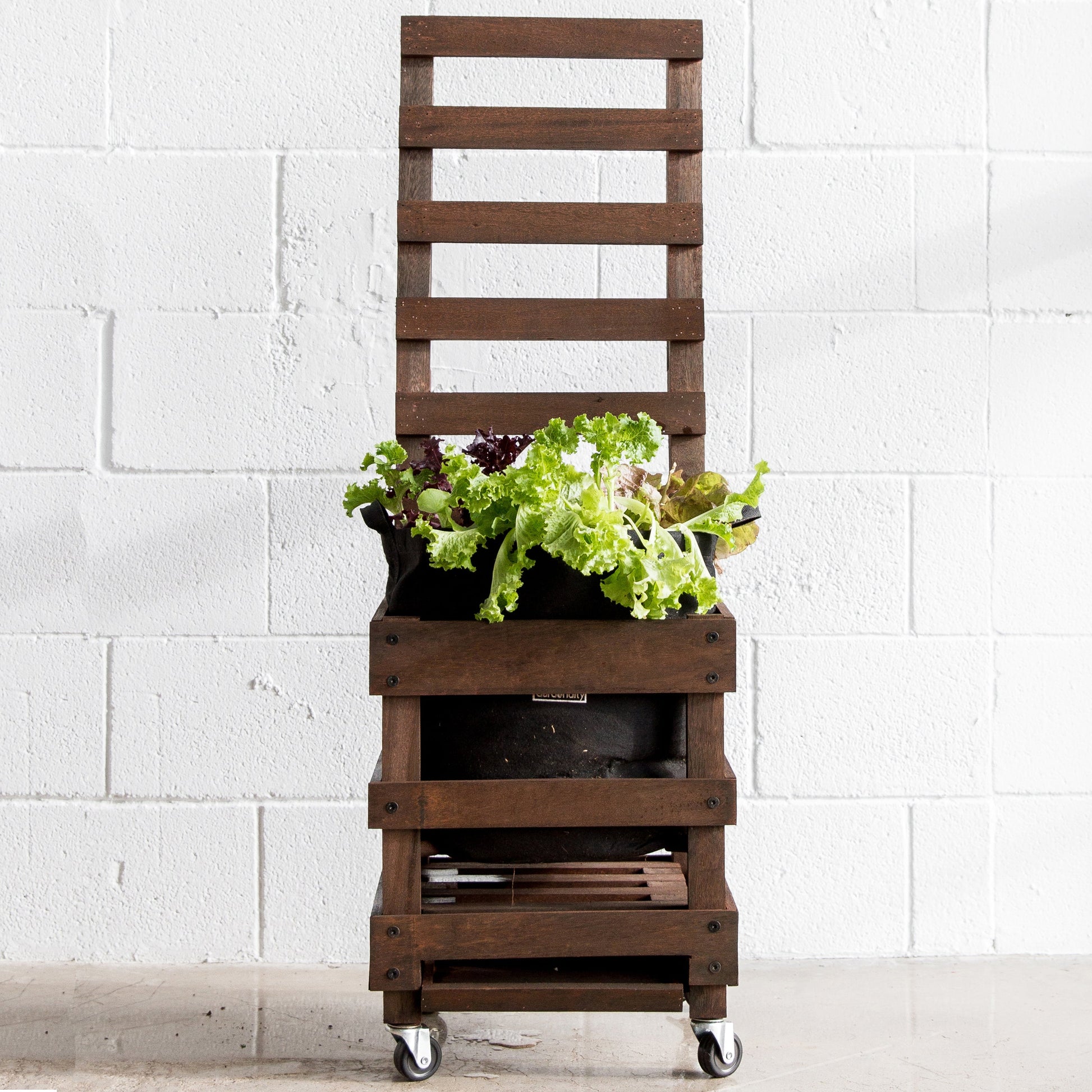 garden caddy and trellis