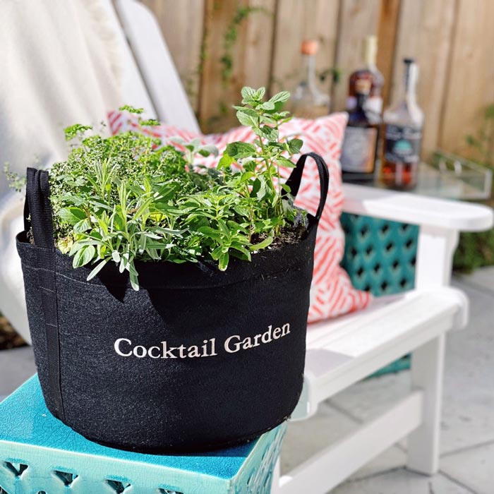 Cocktail Garden Kit‎ with seasonal herbs