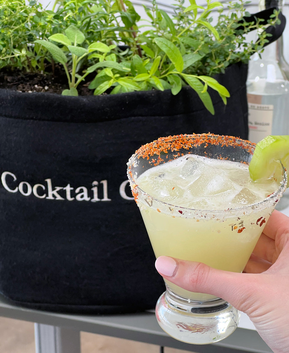 Cocktail Garden Kit with seasonal herbs