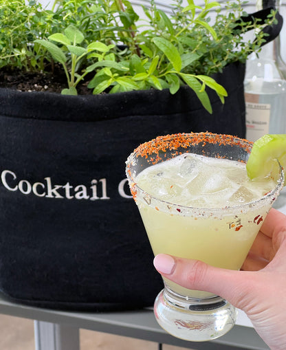 Cocktail Garden Kit with seasonal herbs