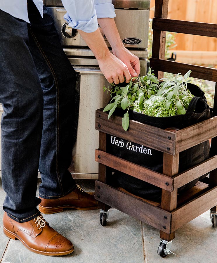 Herb Garden Kit‎ with seasonal culinary herbs