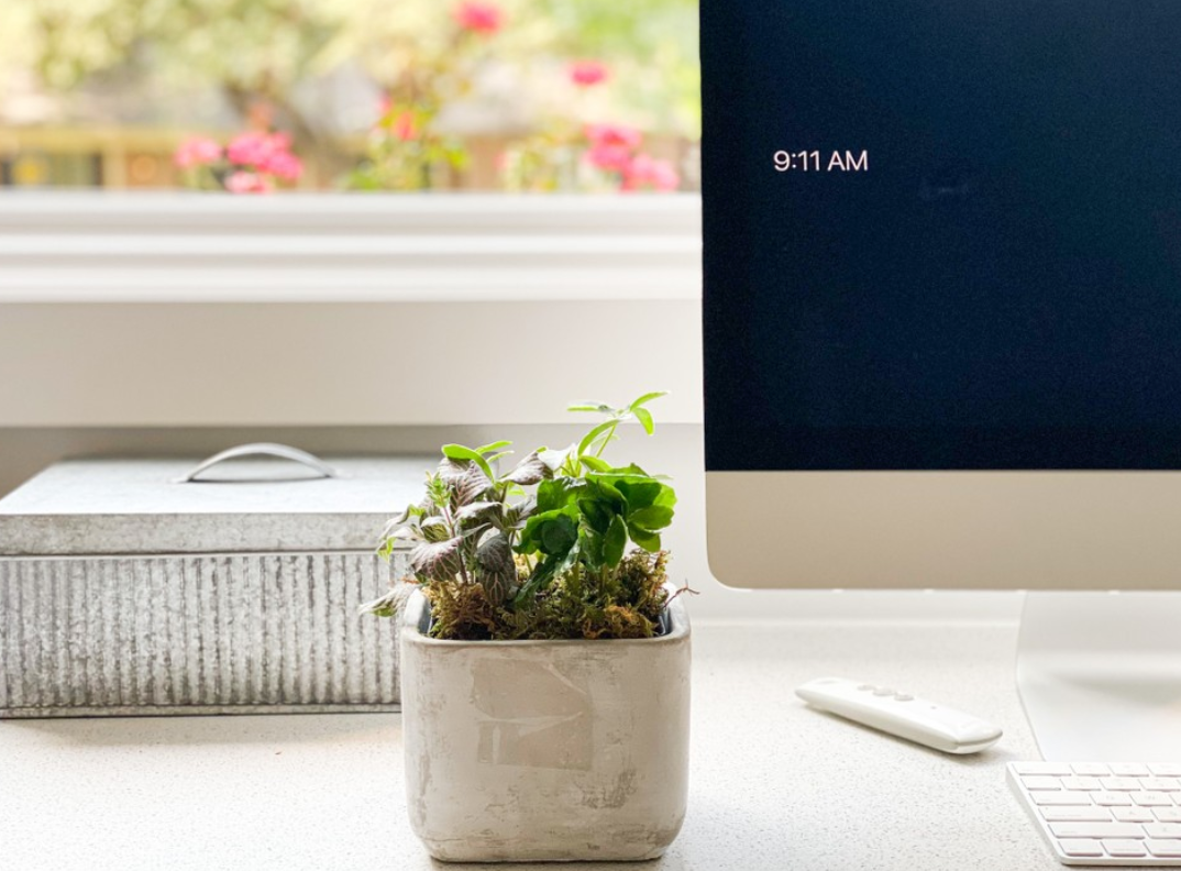 Tropical Desktop Garden Gift Set with Votive Candles