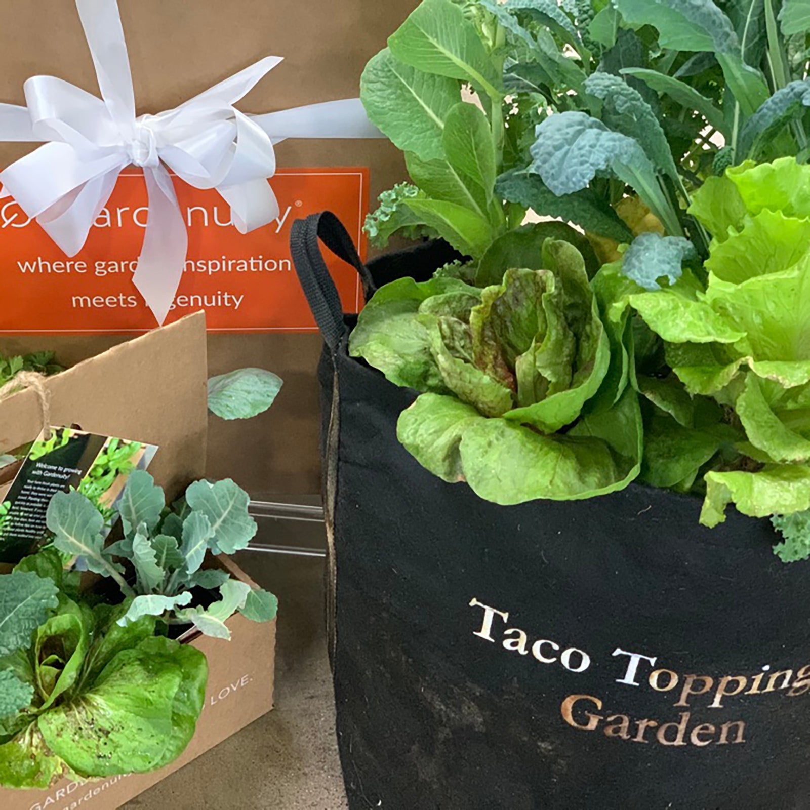 plant pot toppings Taco Toppings Garden Kit with leafy greens + herbs – Gardenuity