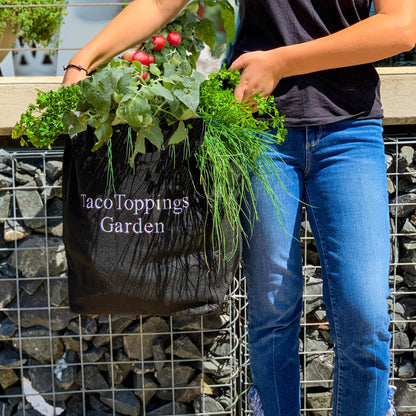 Taco Toppings Garden Kit‎ with tomato plant + herbs