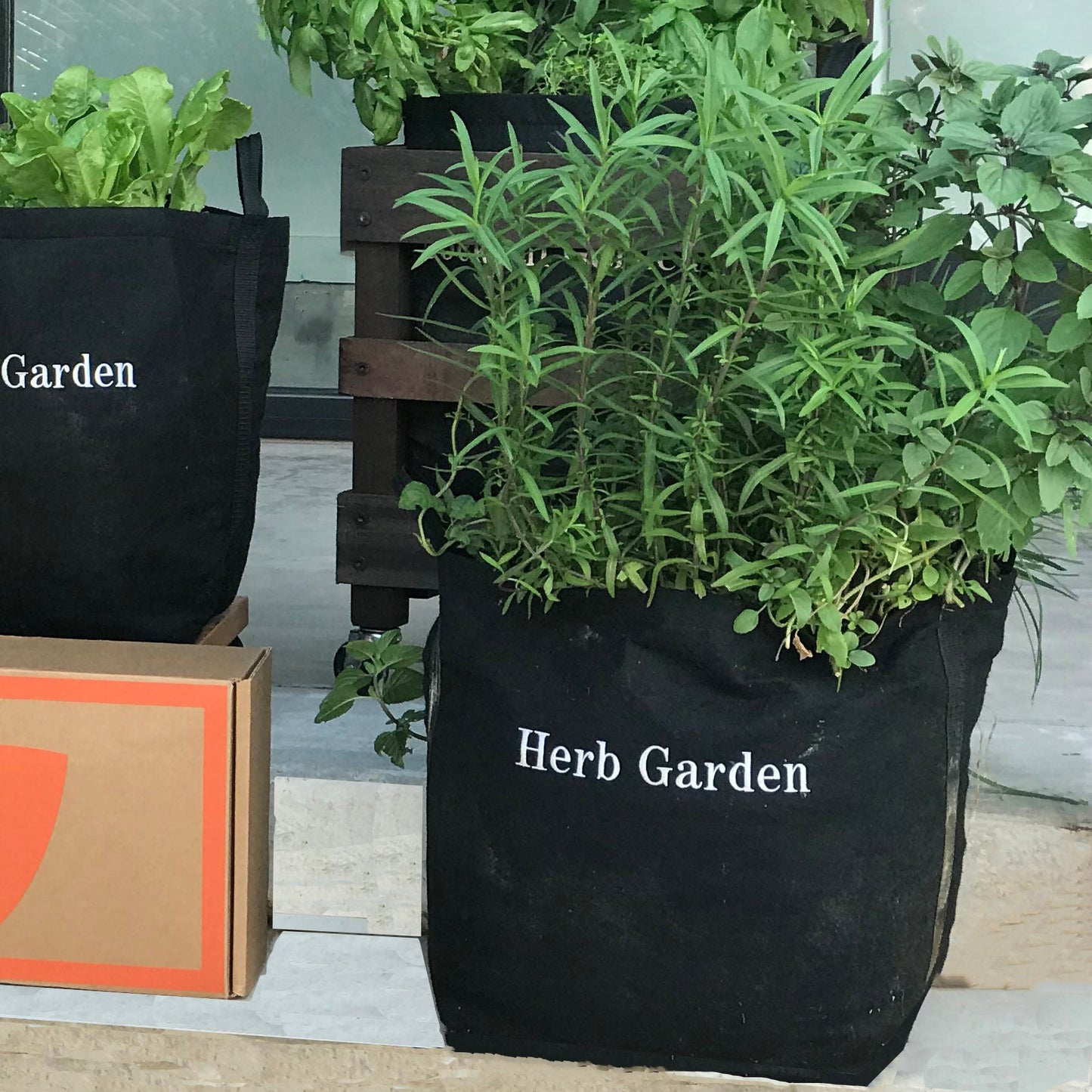 Herb Giftable Garden