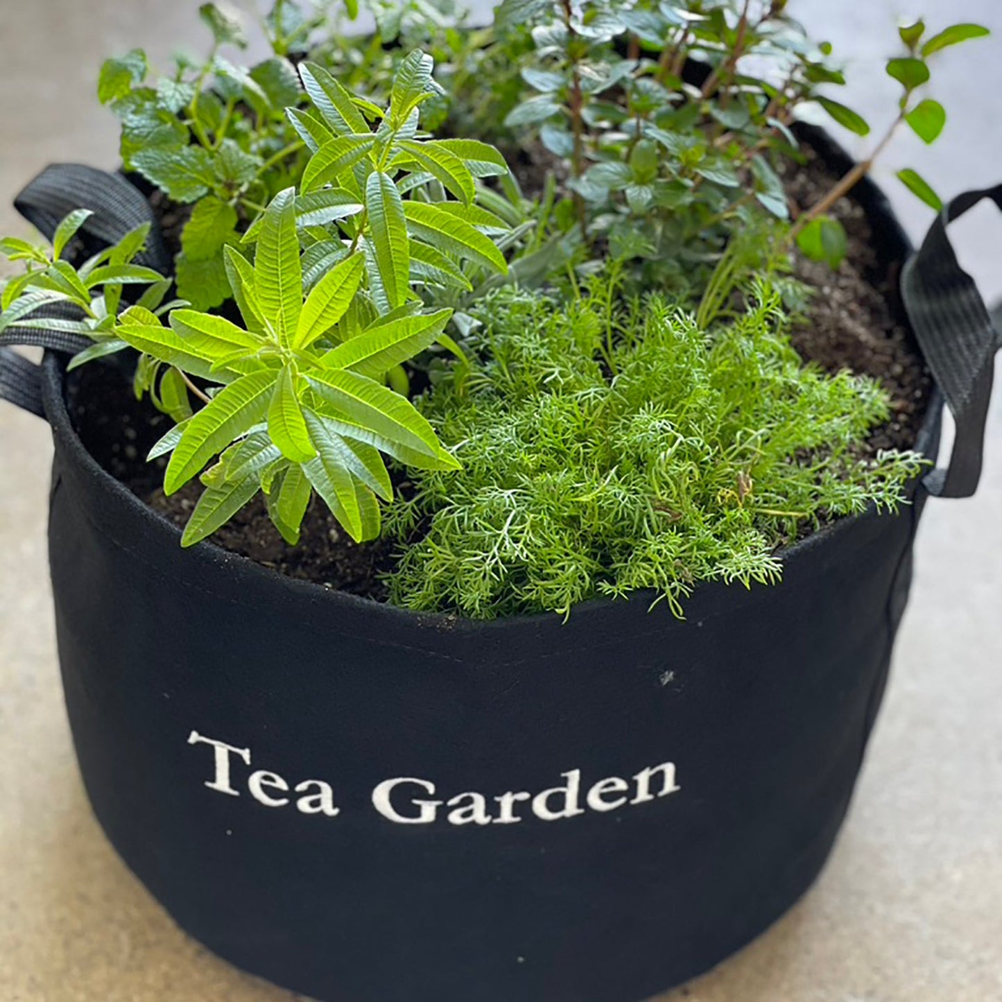 Tea Giftable Garden