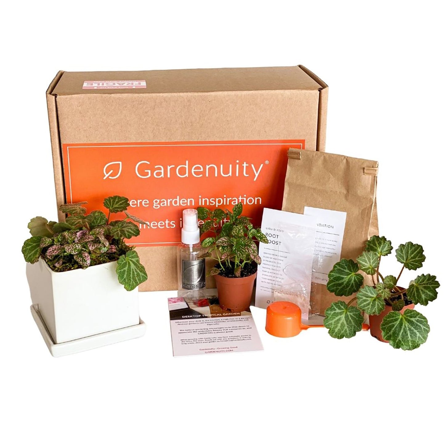Mini Tropical Indoor Garden in white ceramic planter