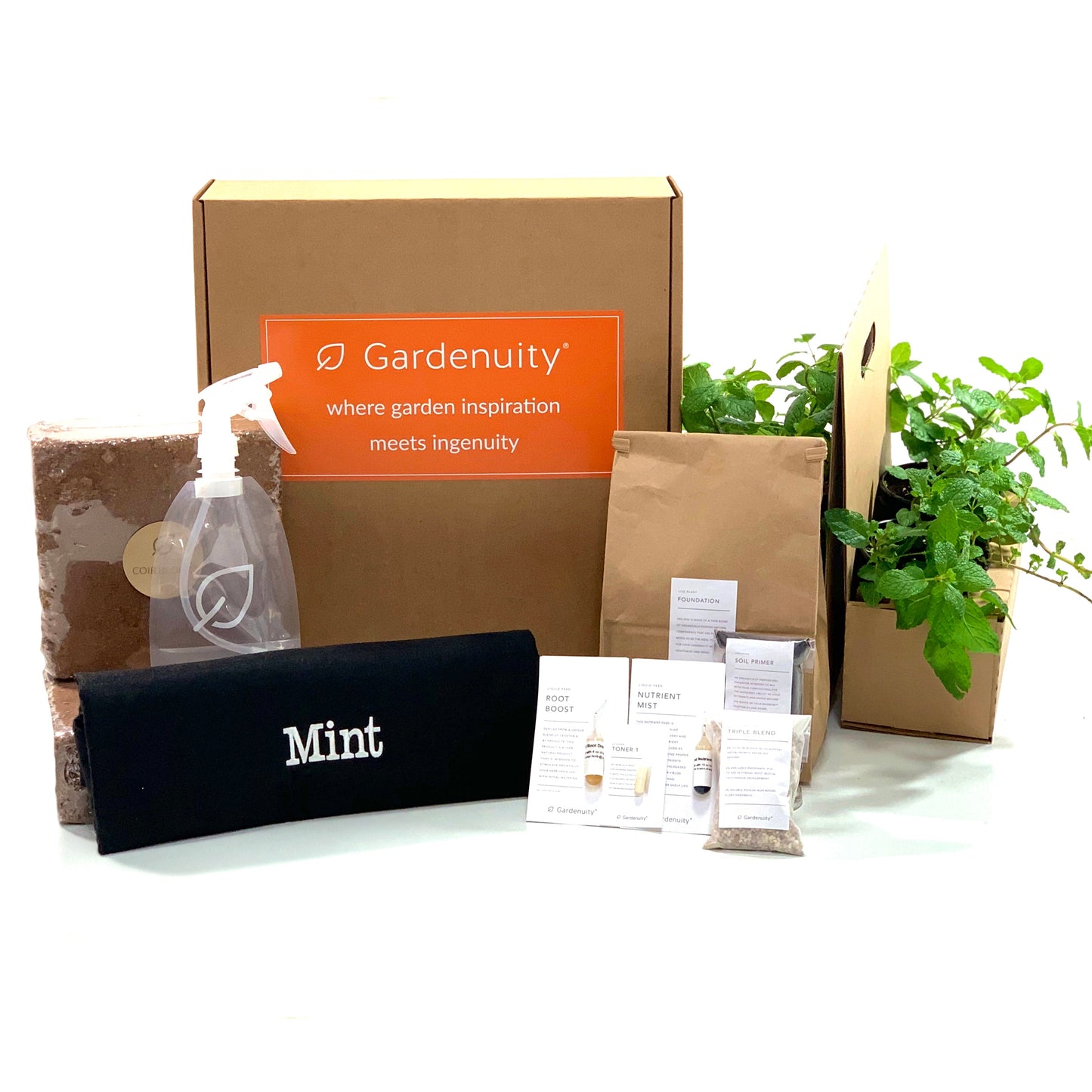 Mint Garden Kit‎ with seasonal herb plants