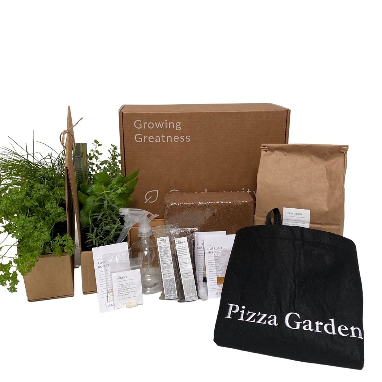 Pizza Garden Kit with leafy greens + herb plants