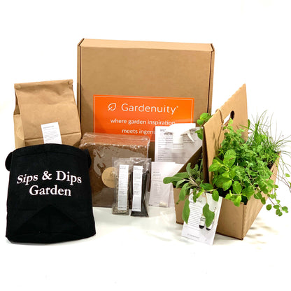 Sips & Dips Garden Kit with seasonal herb plants