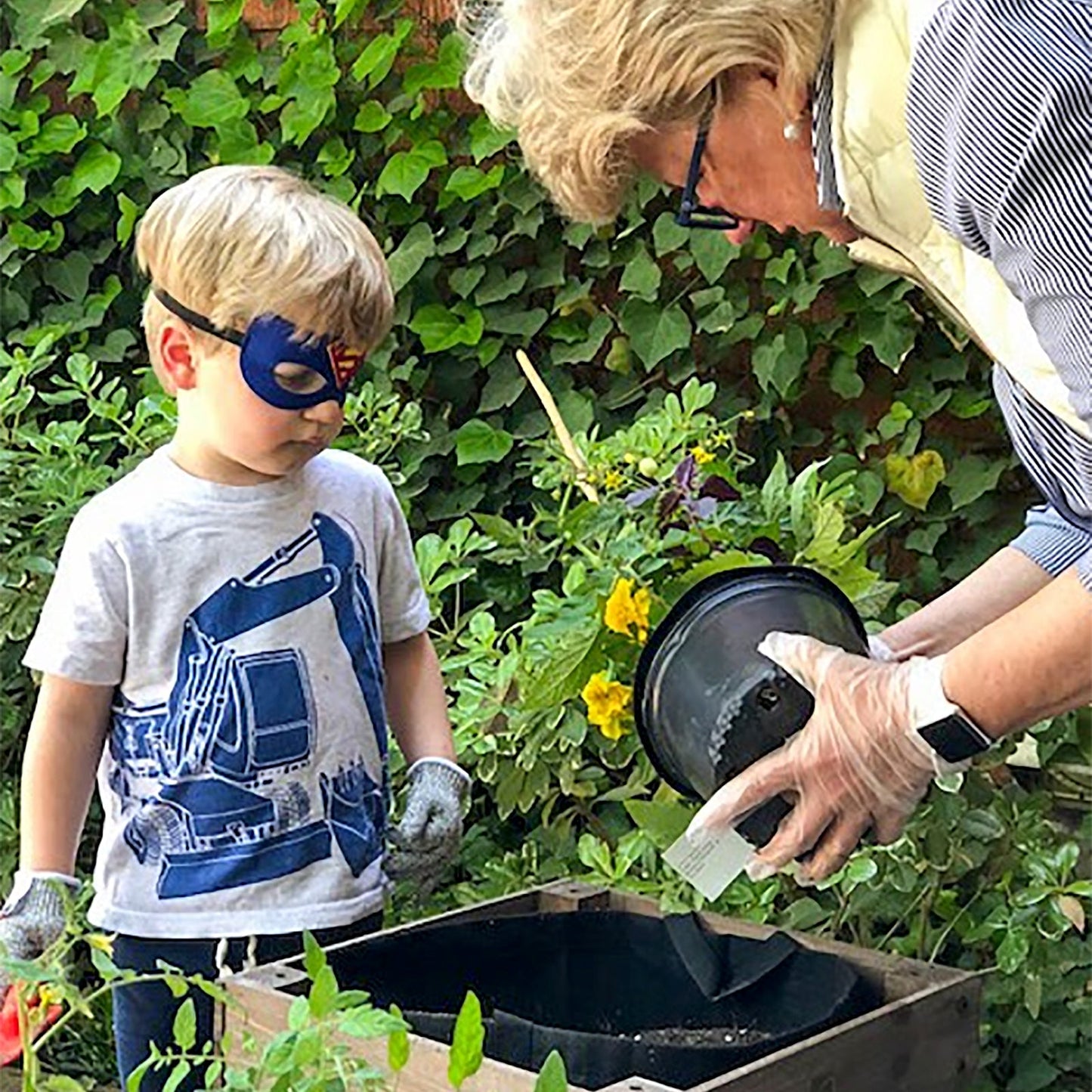 Super Hero Garden Kit with pepper + herb plants