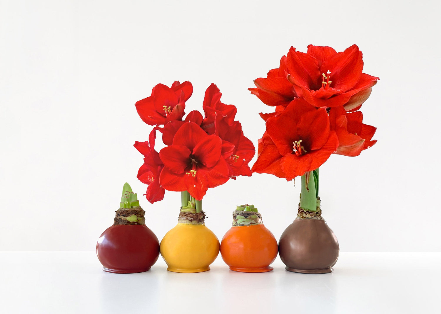 Fall Waxed Bulbs