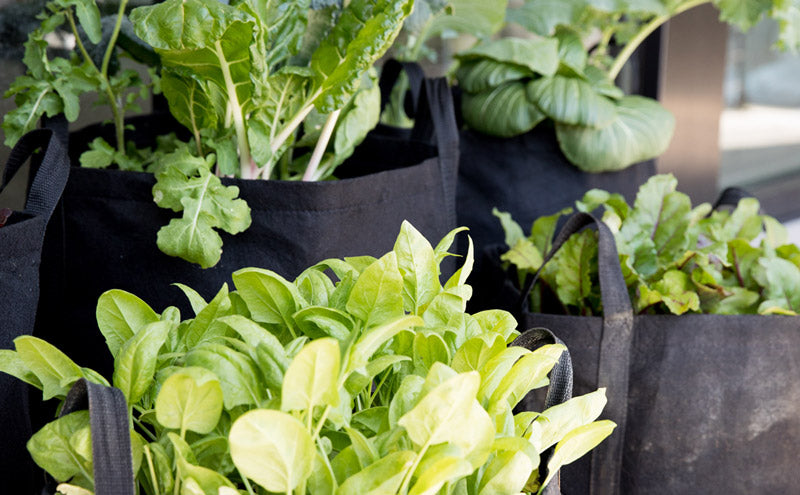 Garden Subscriptions