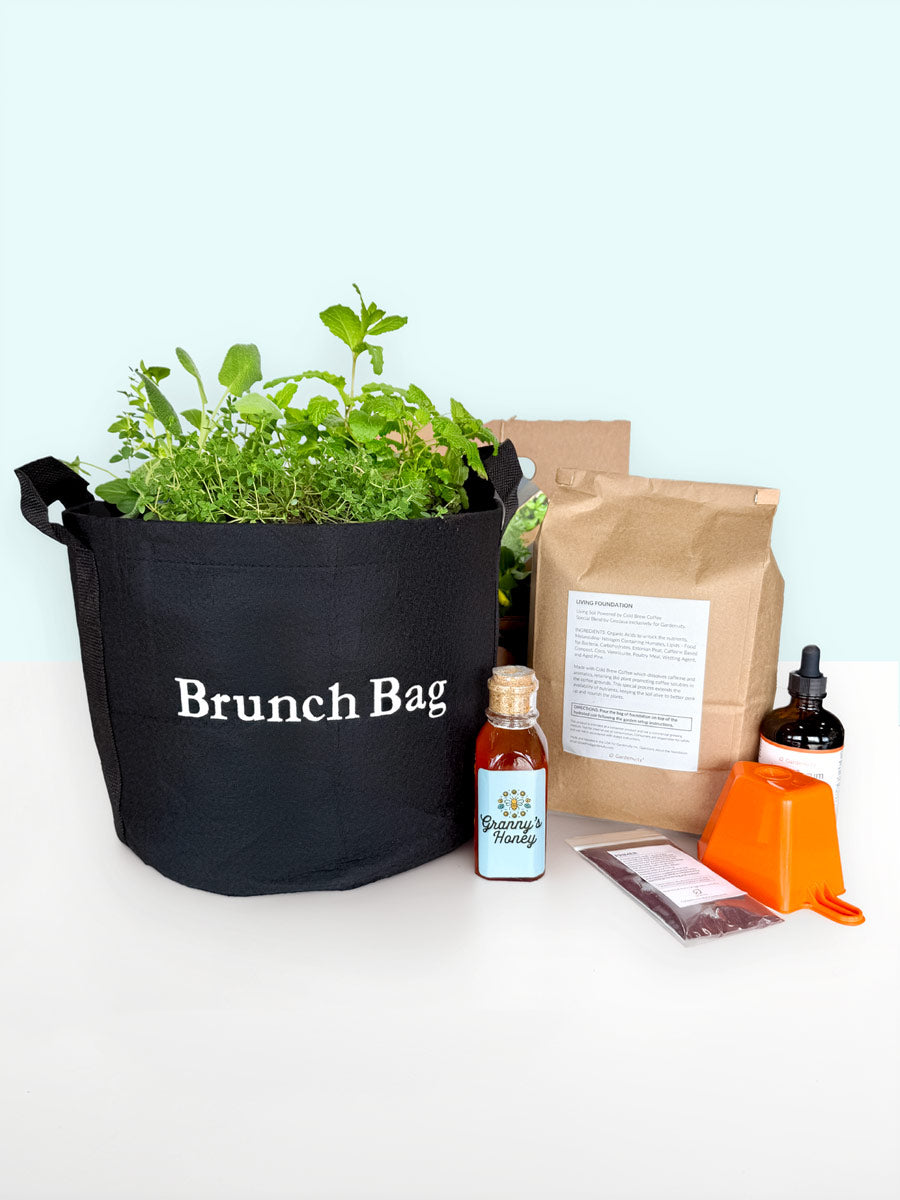 Granny-O-La™ Honey & Brunch Bag Garden Gift Set‎ with culinary herbs + pure honey