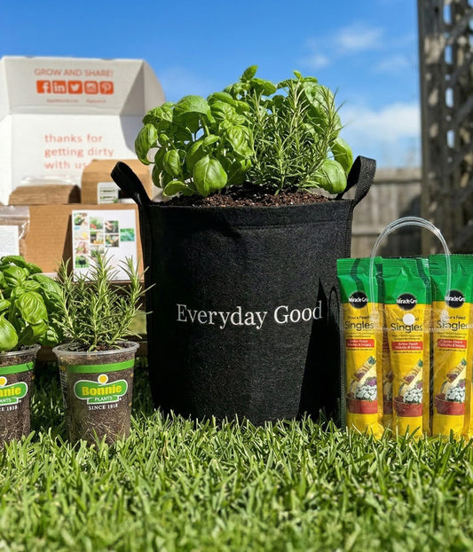 Everyday Good Herb Garden Kit‎ with culinary herb plants image