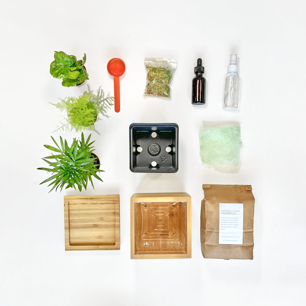Indoor Tropical Desktop Garden in bamboo or concrete planter