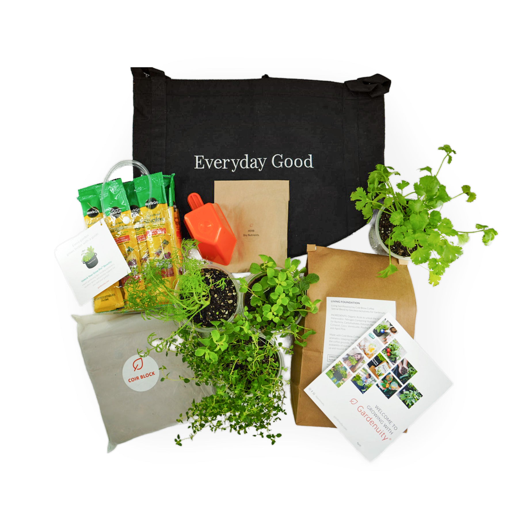 Seasonal Herb Garden Kit | Everyday Good Garden - Inspired to Gro