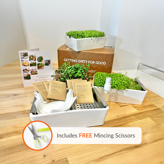 Microgreens Desktop Garden Starter Kit image