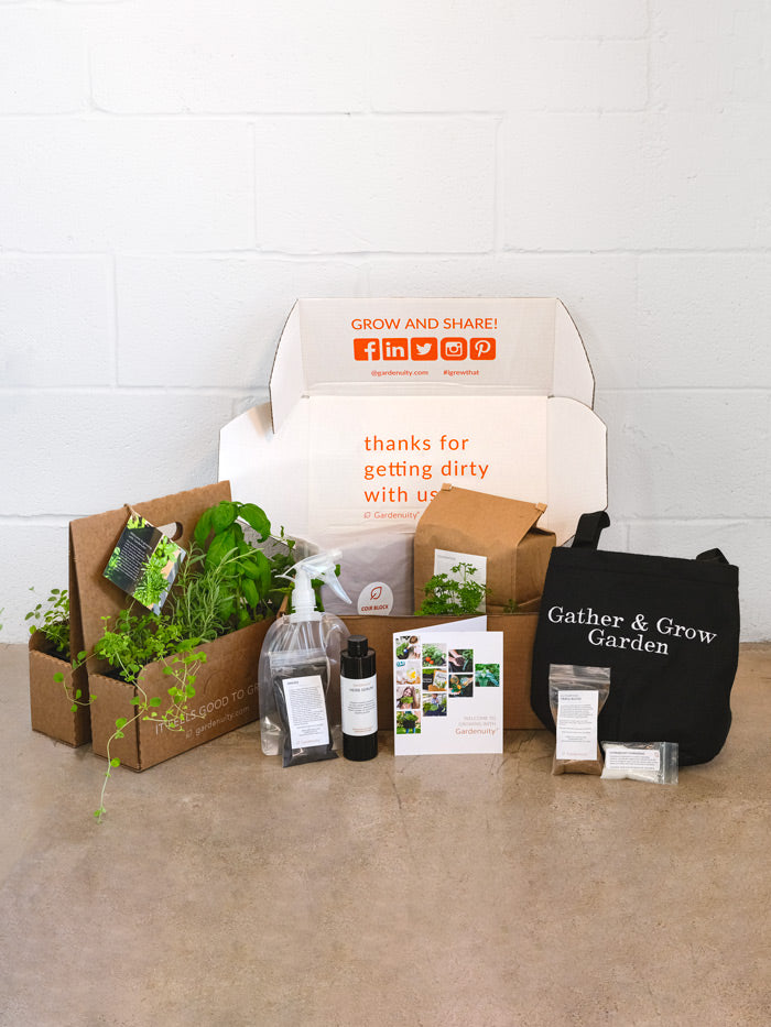 Gather & Grow Giftable Garden