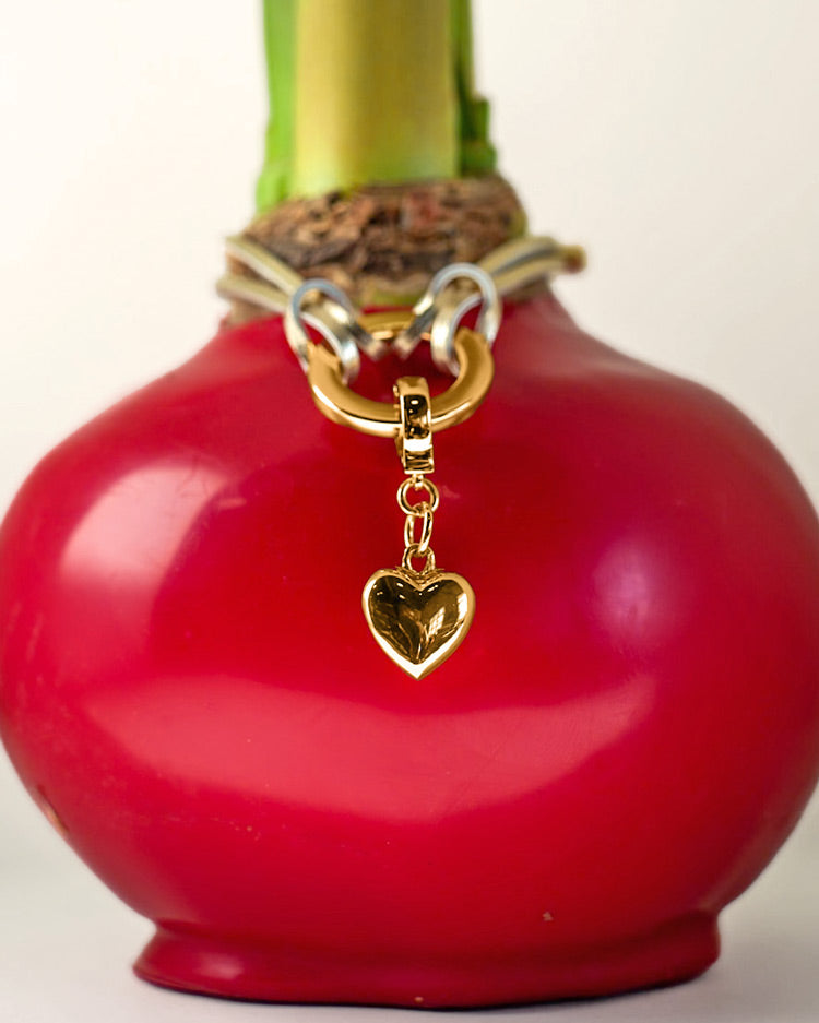 Valentine Red Waxed Bulb & Charm Bracelet Gift Set‎
