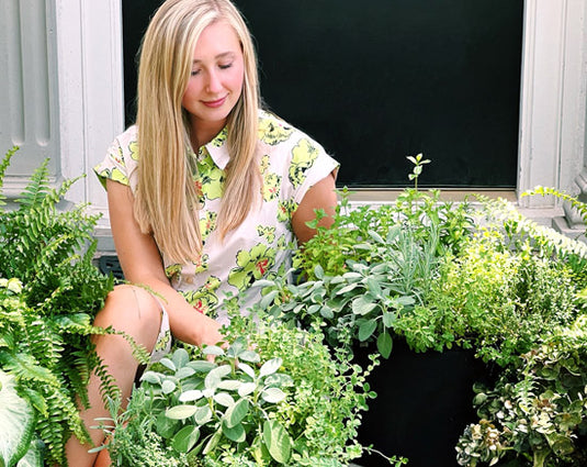 Gardenuity | Patio Container Gardens | Growing Everyday Well-Being