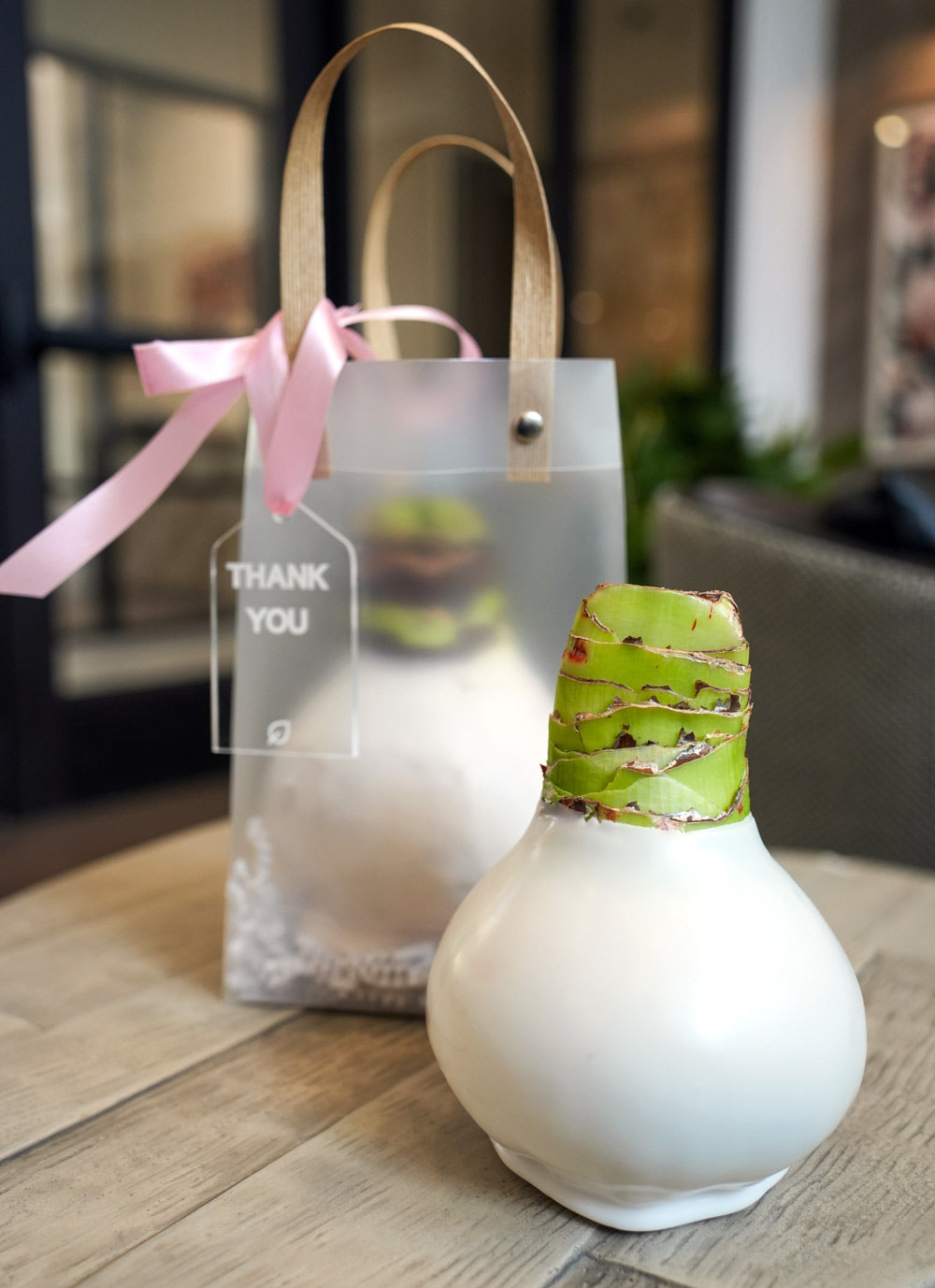 Hope Grows White Waxed Amaryllis Bulb Gift Set‎ in support of Breast Cancer Awareness Month