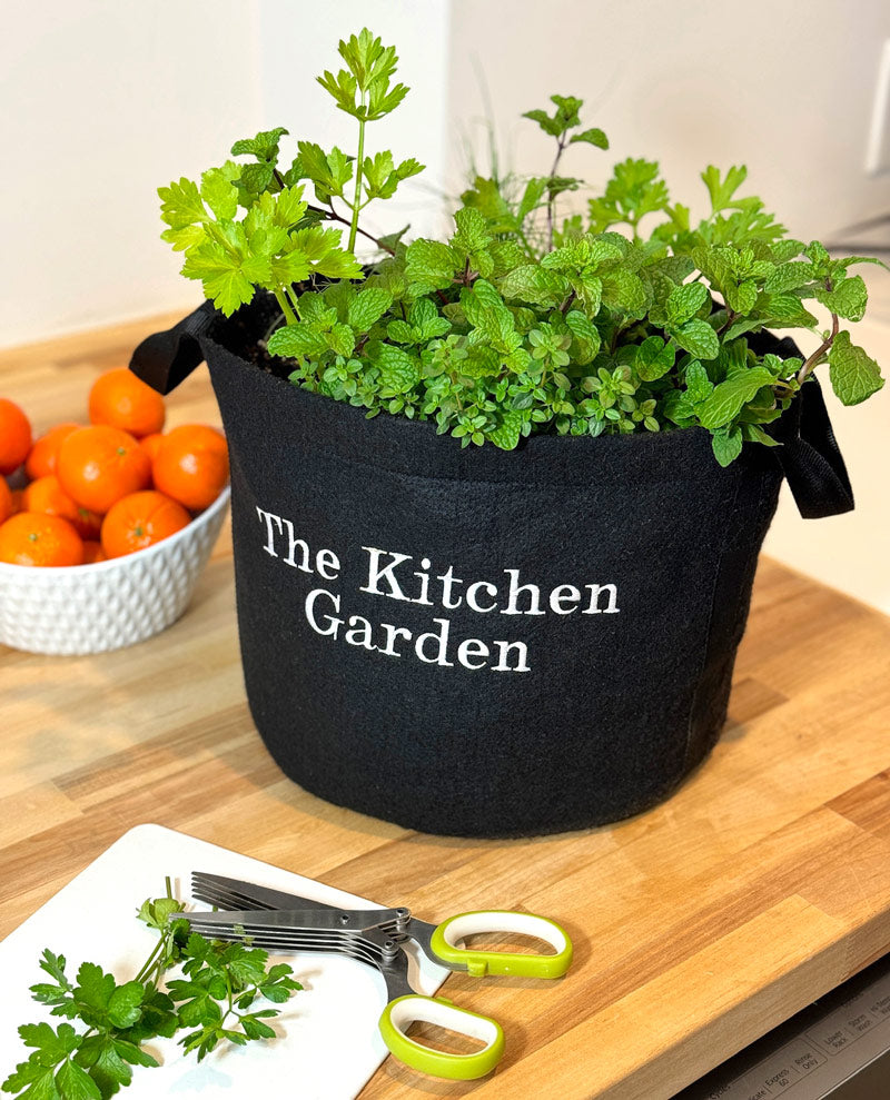 The Kitchen Garden Kit‎ with culinary herbs + weekly recipes