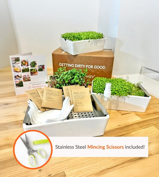 Gardenuity Microgreens Starter Kit: Unlock 40x More Nutrients & Harvest in 10 Days image