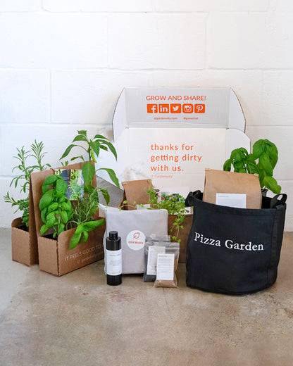 Pizza Garden Kit‎ with tomato + herb plants