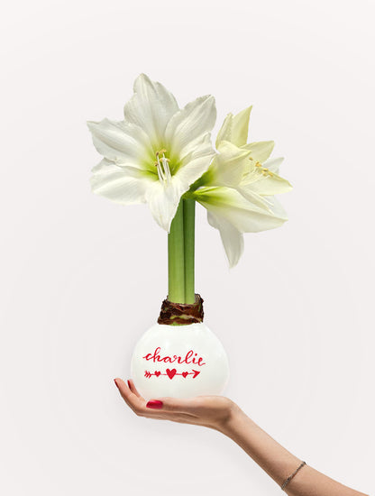 Personalized Valentine White Waxed Amaryllis Bulb‎ with bright white blooms