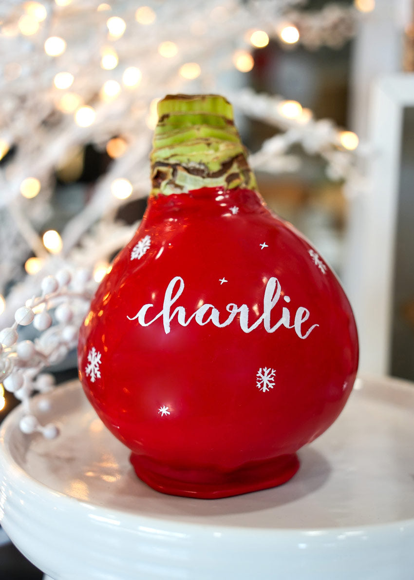 Personalized Winter Red Waxed Amaryllis Bulb‎ with bold red blooms