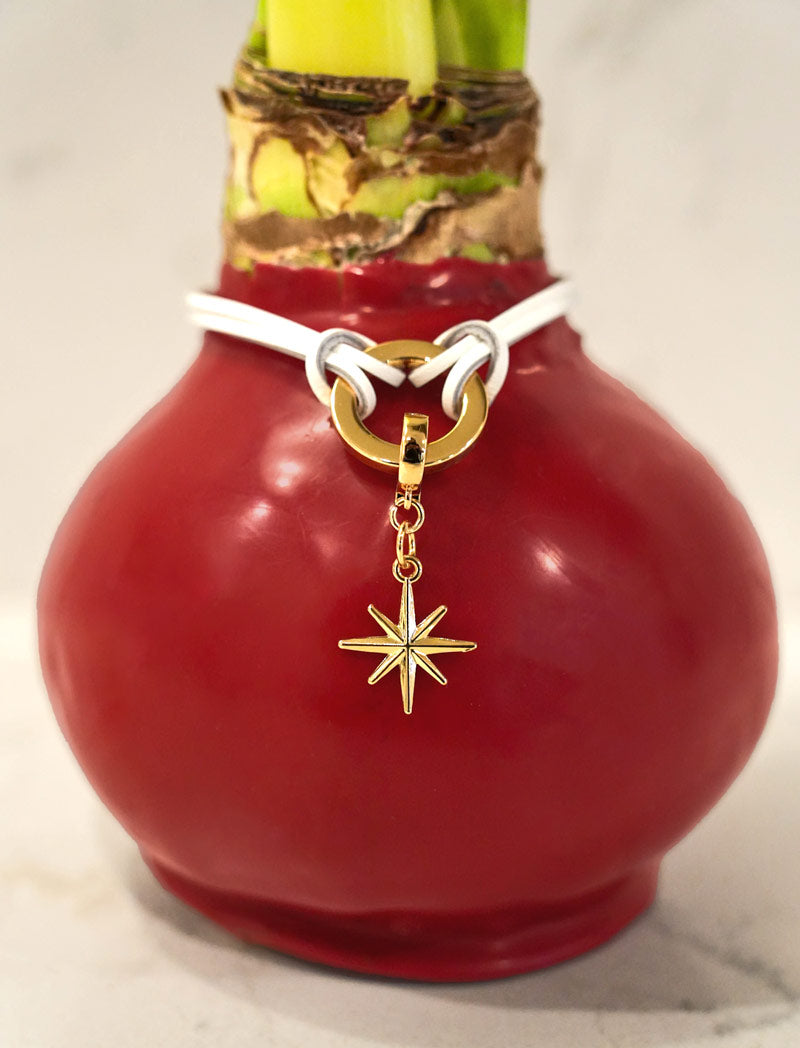 Holiday Red Waxed Bulb & Charm Bracelet Gift Set