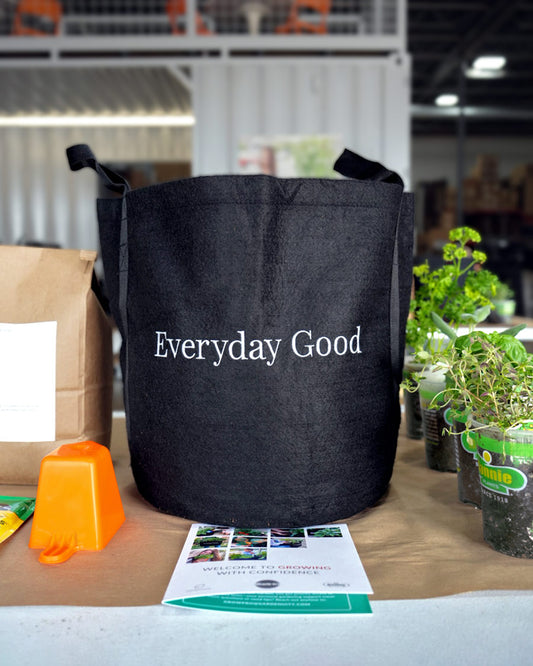 Everyday Good Garden Kit‎ with culinary herb plants image