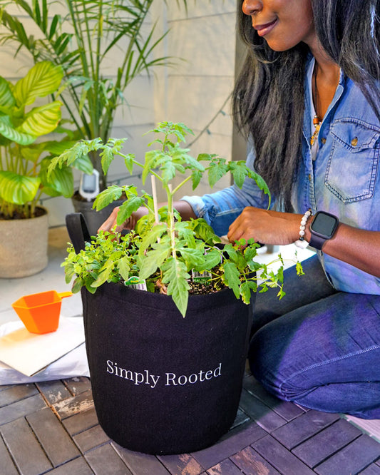 Tomato Garden Simply Rooted image