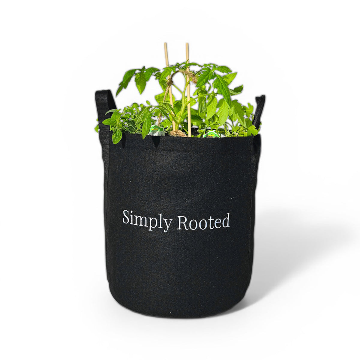 Simply Rooted Simply Rooted Garden Kit with seasonal vegetable and culinary herbs ...