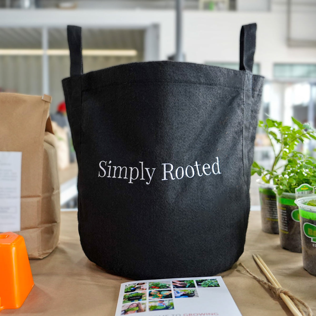 Simply Rooted Simply Rooted Garden Kit with seasonal vegetable and culinary herbs ...