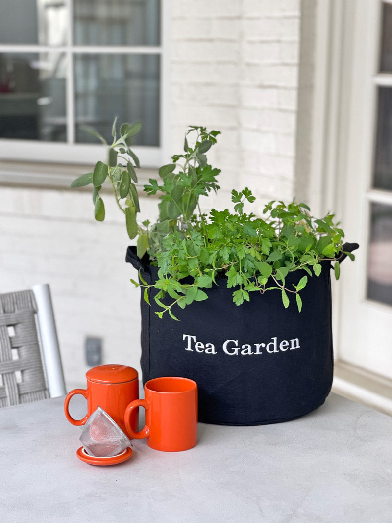 Tea for Two Garden Gift Set‎ with Tea Brewer Mugs