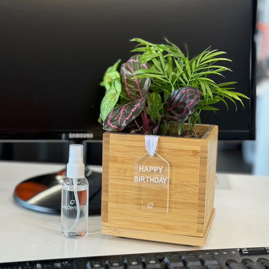 image of Acrylic Gift Tag 