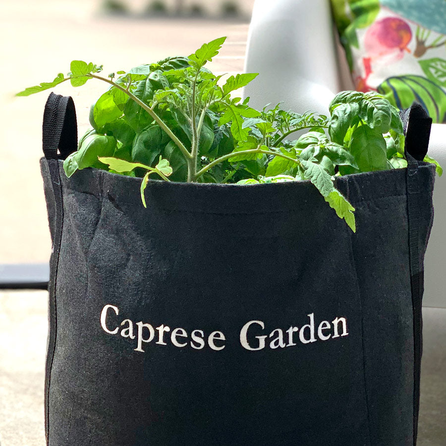Caprese Garden Kit‎ with tomato + basil plants