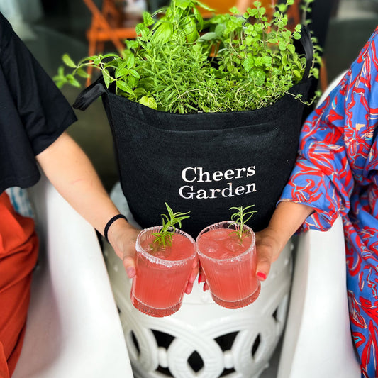 Cheers Garden Kit with seasonal herb plants