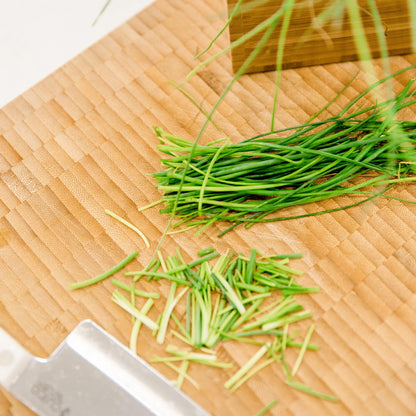 Salad Garden Plant Collection