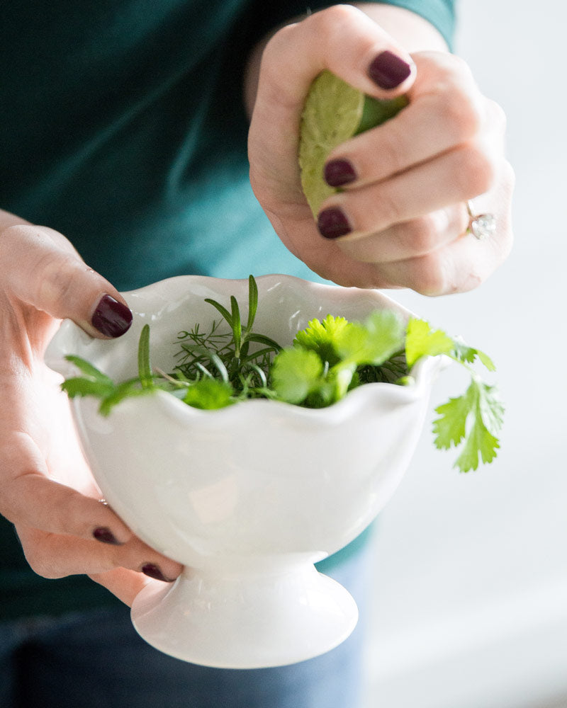 Taco Garden Plant Collection