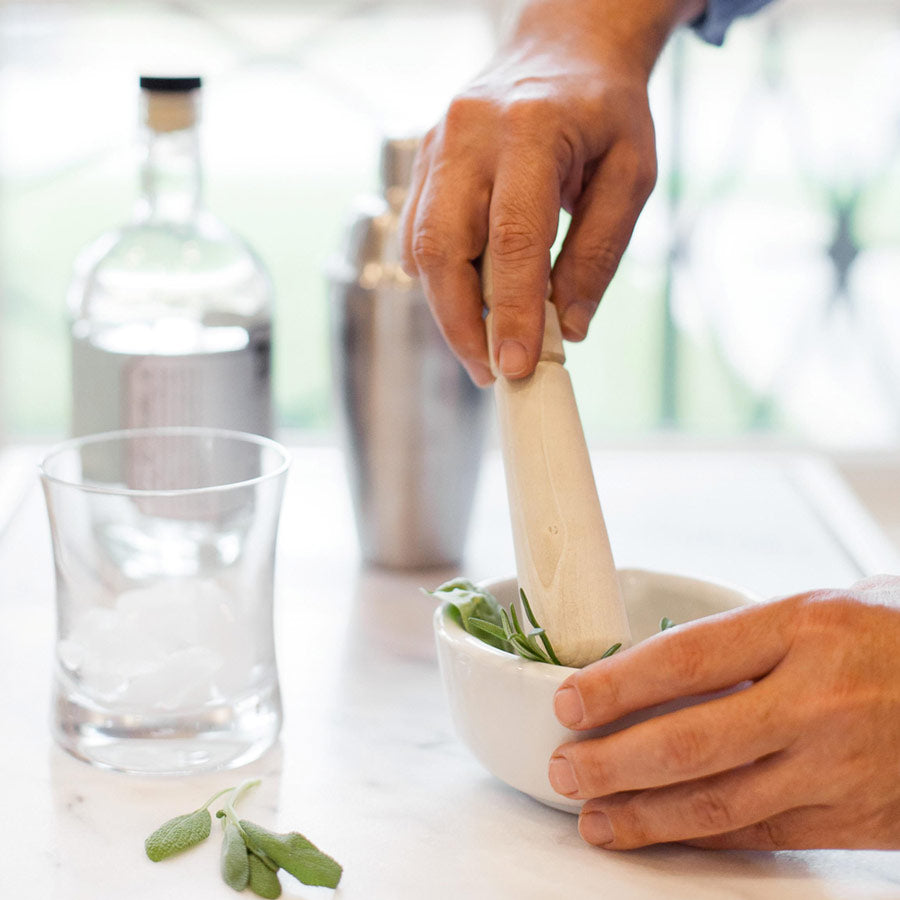 Cocktail Herb Garden Plant Collection