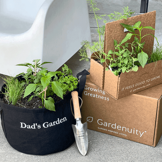 Dad's Garden Kit with pepper & herb plants