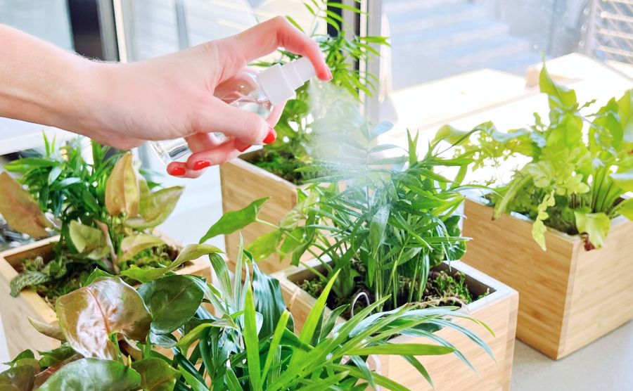 Collection image alternative text