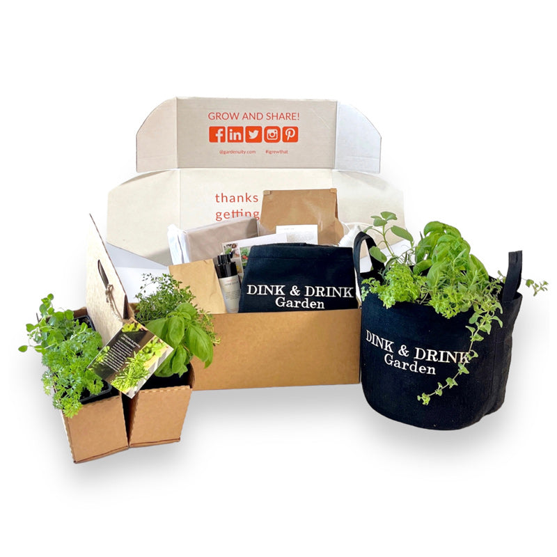 Dink & Drink Garden Kit with seasonal herbs